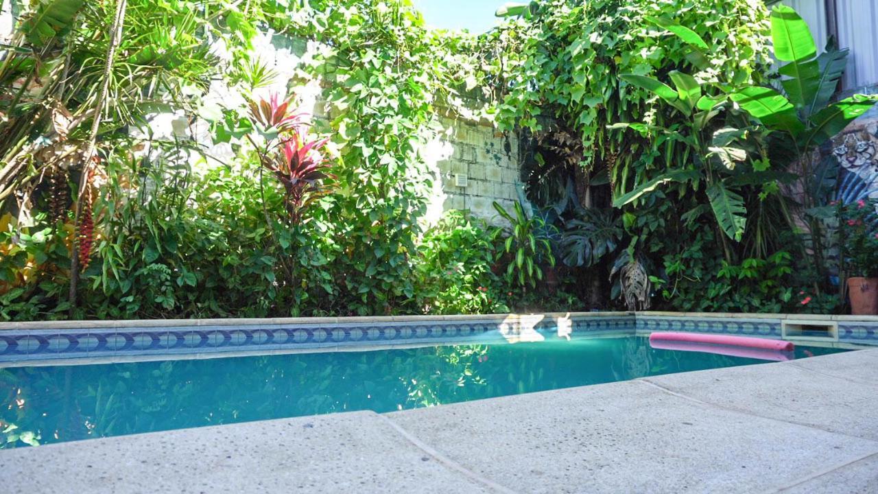 Managua Apart Hotel Puerto Iguazú Eksteriør billede